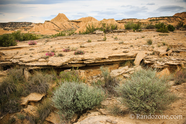 Randonnée en boucle à la Piskerra Randonnée Piskerra dans le désert des Bardenas