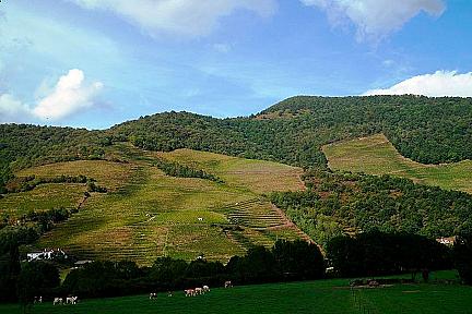 Actualité : Table d'orientation d'Etchaine: un panorama saisissant sur l'Arradoy, la Nive et les sommets d'Errozate à Urkulu Actualité : Table d'orientation d'Etchaine: un panorama saisissant sur l'Arradoy, la Nive et les sommets d'Errozate à Urkulu