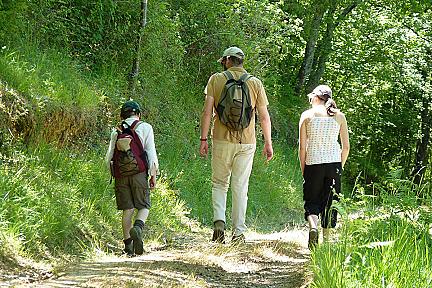 L'église Saint-Pierre et ses sentiers boisés : pourquoi cette petite boucle de 2h vaut le détour Actualité : L'église Saint-Pierre et ses sentiers boisés : pourquoi cette petite boucle de 2h vaut le détour