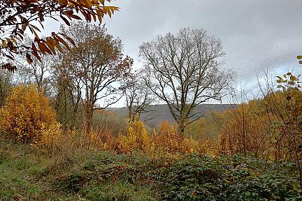 Boucle du Cingle au départ du Bugue : 13,8 km de panoramas sur la vallée et la campagne périgordine Actualité : Boucle du Cingle au départ du Bugue : 13,8 km de panoramas sur la vallée et la campagne périgordine
