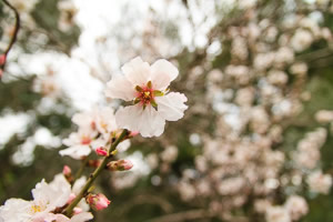 Randonnée à Cadaqués Randonnée à Cadaqués