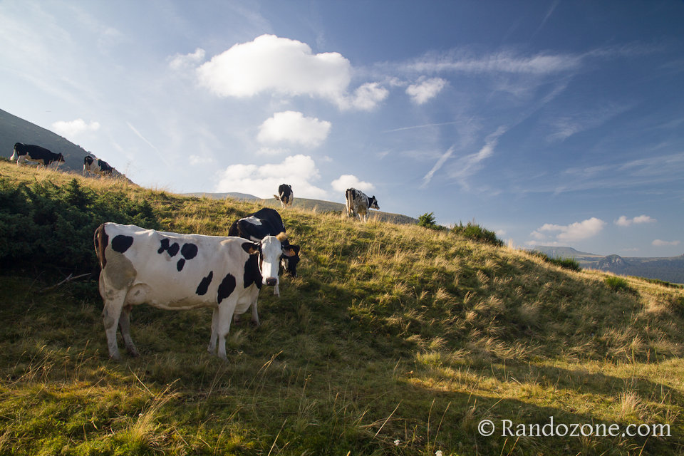 Cascades et volcans dans le Puy-de-Dôme