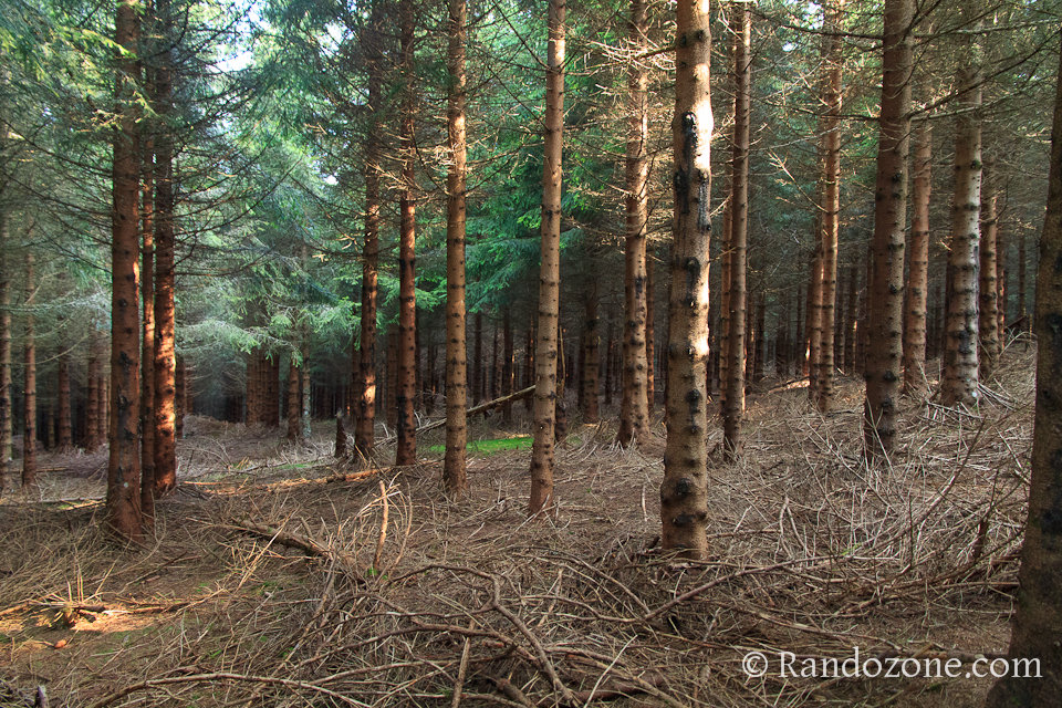 Cascades et volcans dans le Puy-de-Dôme