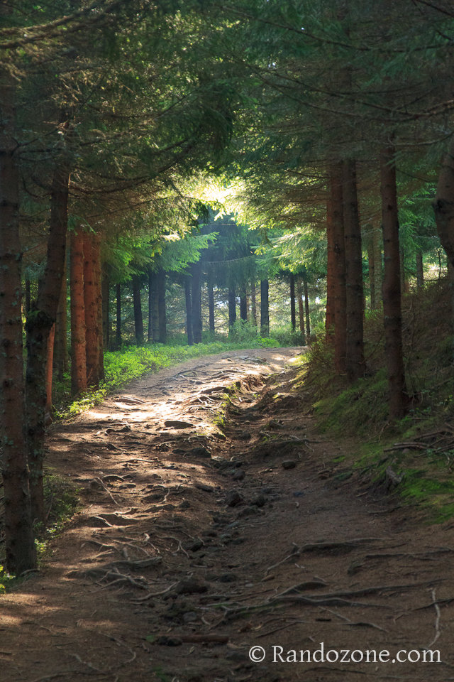Cascades et volcans dans le Puy-de-Dôme