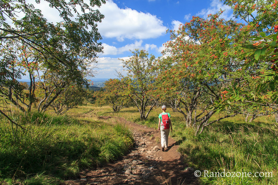 Cascades et volcans dans le Puy-de-Dôme