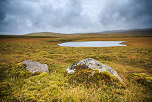 Cercle d'Or et Thingvellir