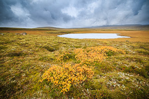 Cercle d'Or et Thingvellir