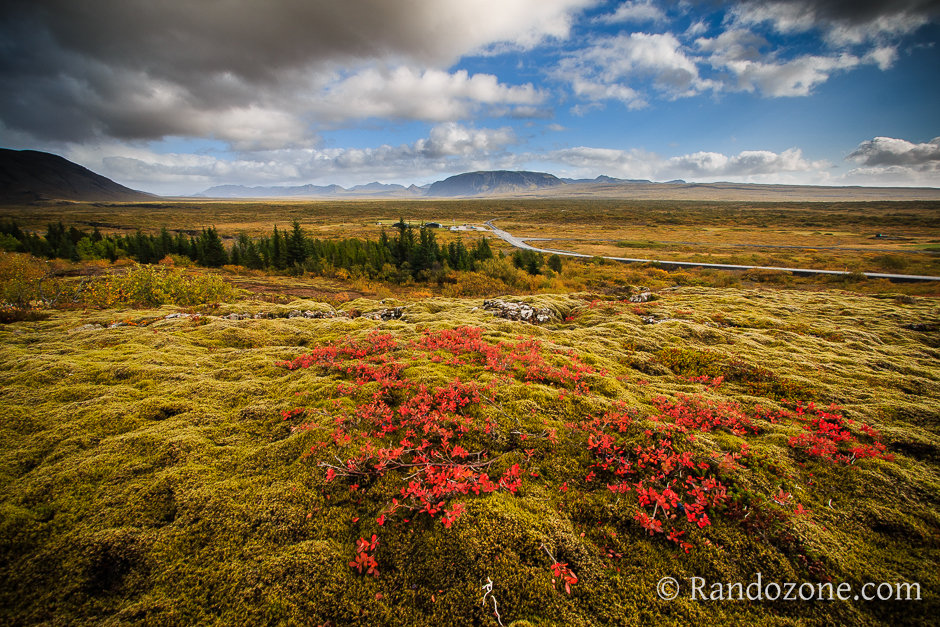 Cercle d'Or et Thingvellir