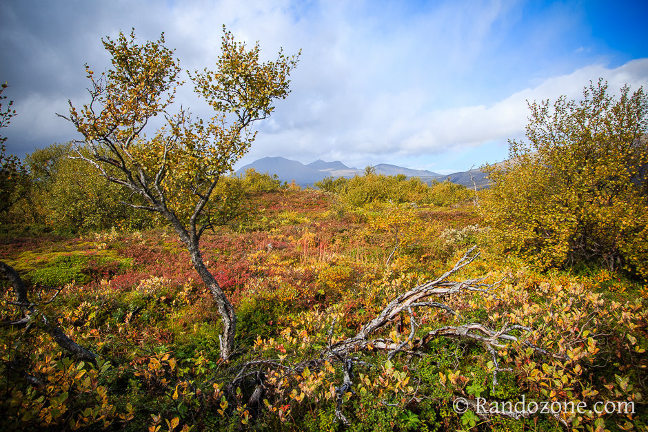 Cercle d'Or et Thingvellir