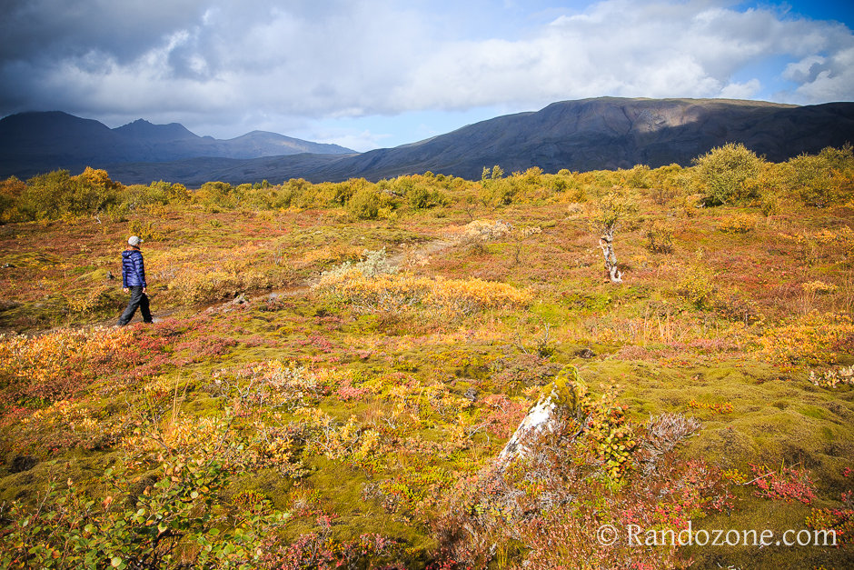 Cercle d'Or et Thingvellir