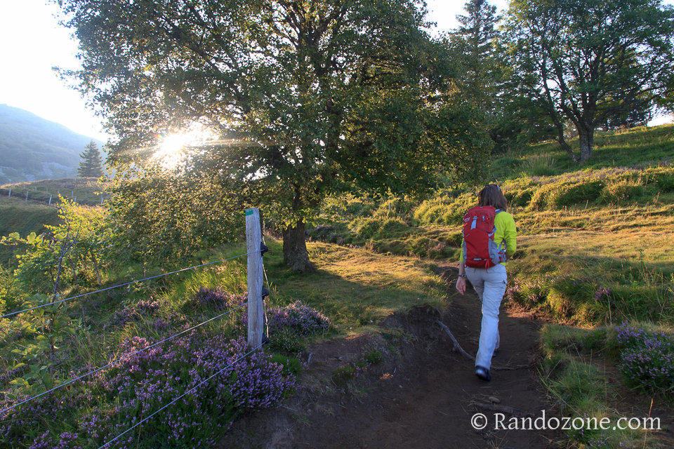 Randonnée sur les crêtes du Sancy