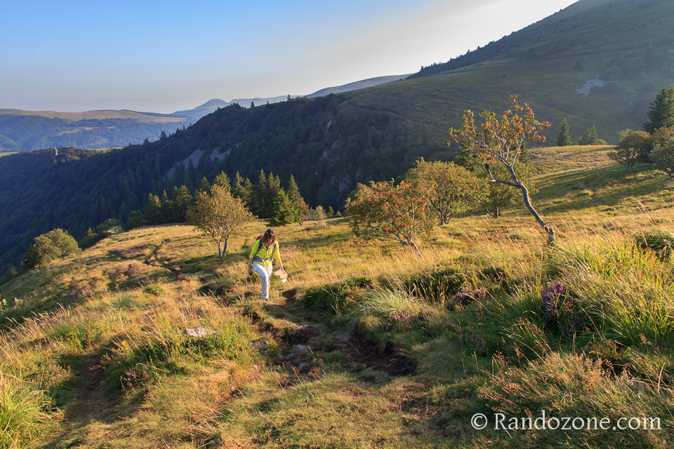 Randonnée sur les crêtes du Sancy