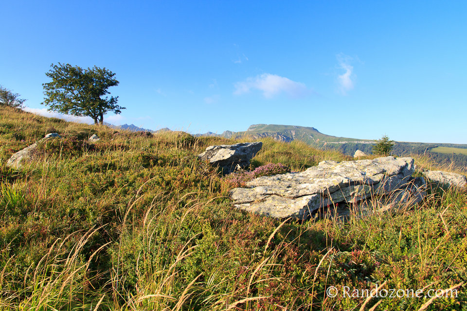 Randonnée sur les crêtes du Sancy