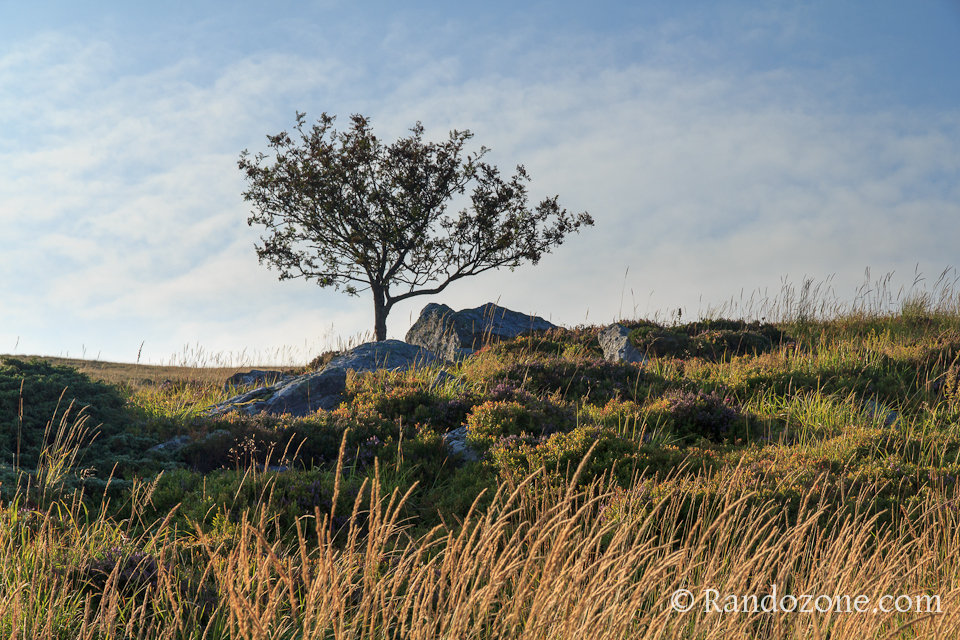Randonnée sur les crêtes du Sancy