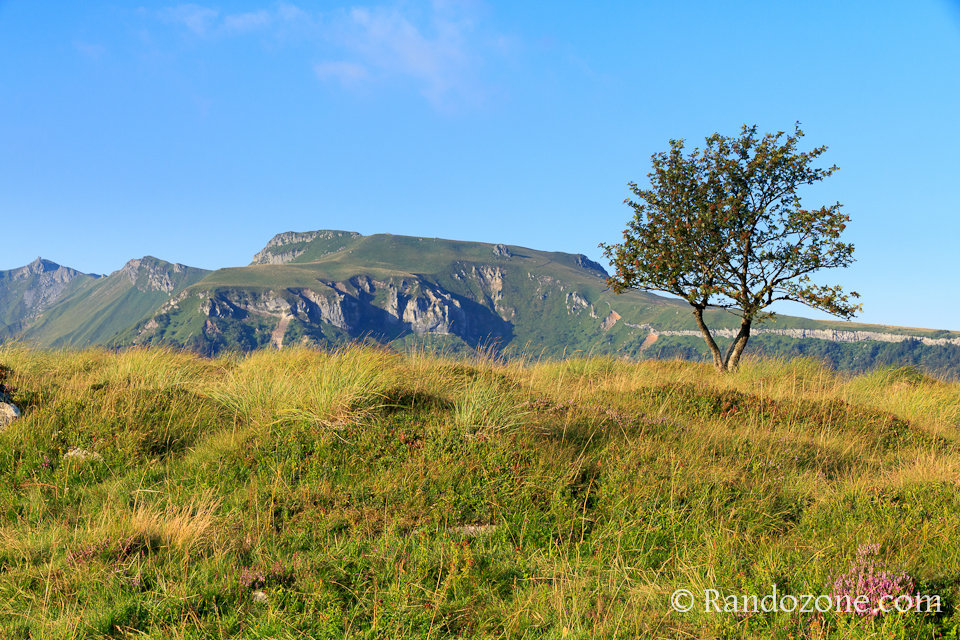 Randonnée sur les crêtes du Sancy