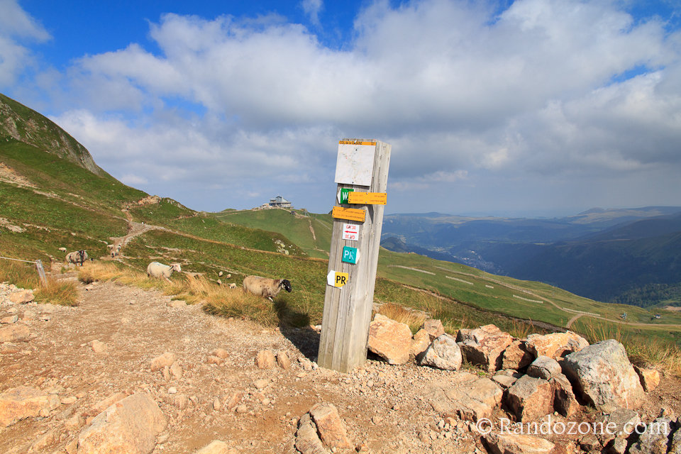 Randonnée sur les crêtes du Sancy