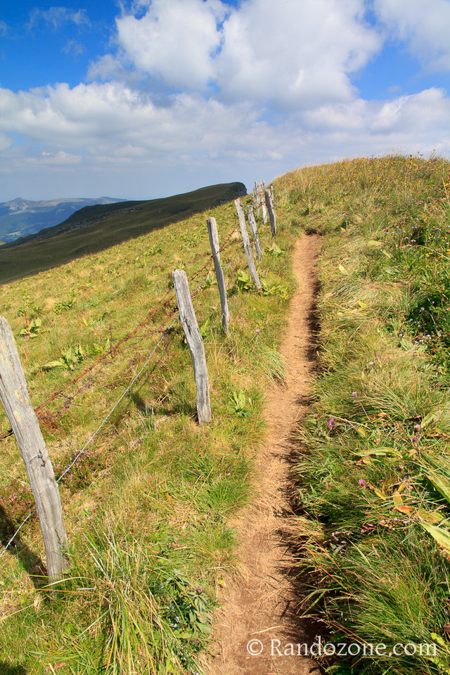 Randonnée sur les crêtes du Sancy 7 Randonnée sur les crêtes du Sancy