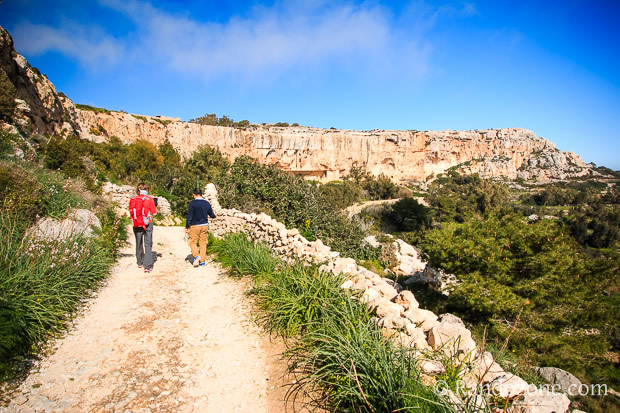 Notre guide nous explique plein de choses sur le pays Randonnées à Malte le long des falaises de Dingli et Fawwara