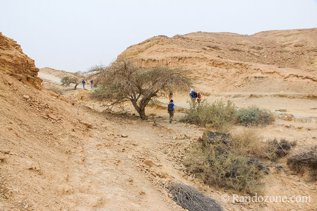Randonnée dans le désert de Néguev