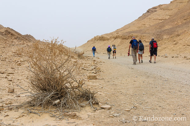 Randonnée dans le désert de Néguev