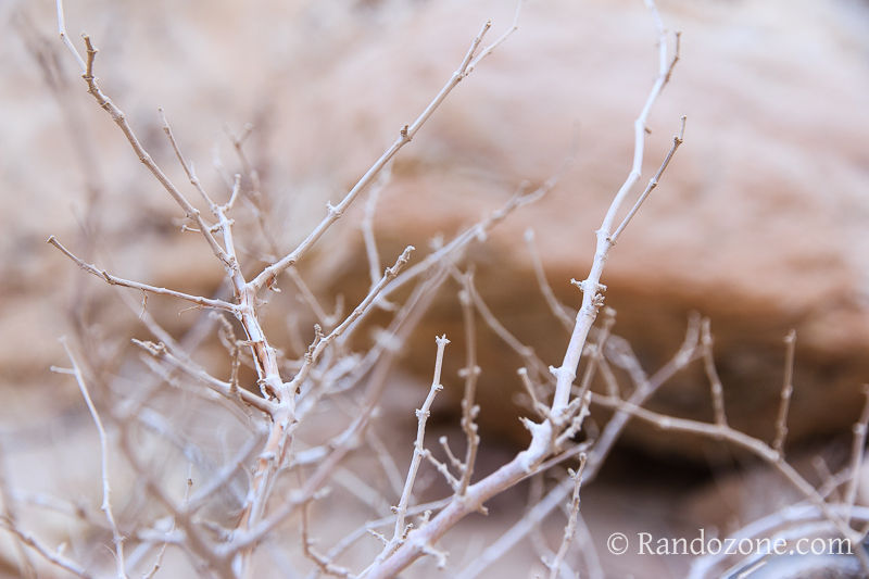 Randonnée dans le désert de Néguev