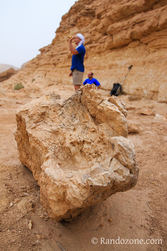 Randonnée Ramon Crater