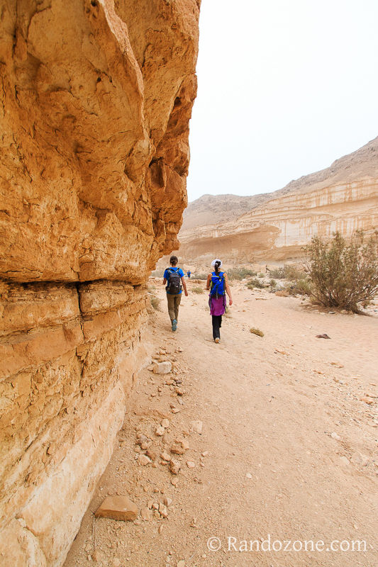 Randonnée dans le désert de Néguev