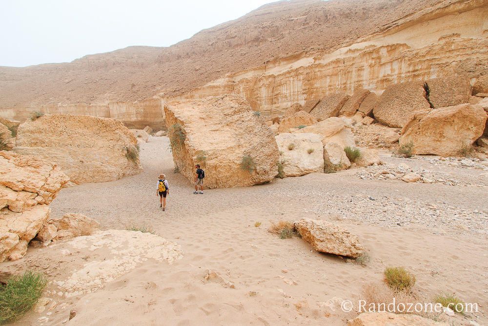 Randonnée dans le désert de Néguev