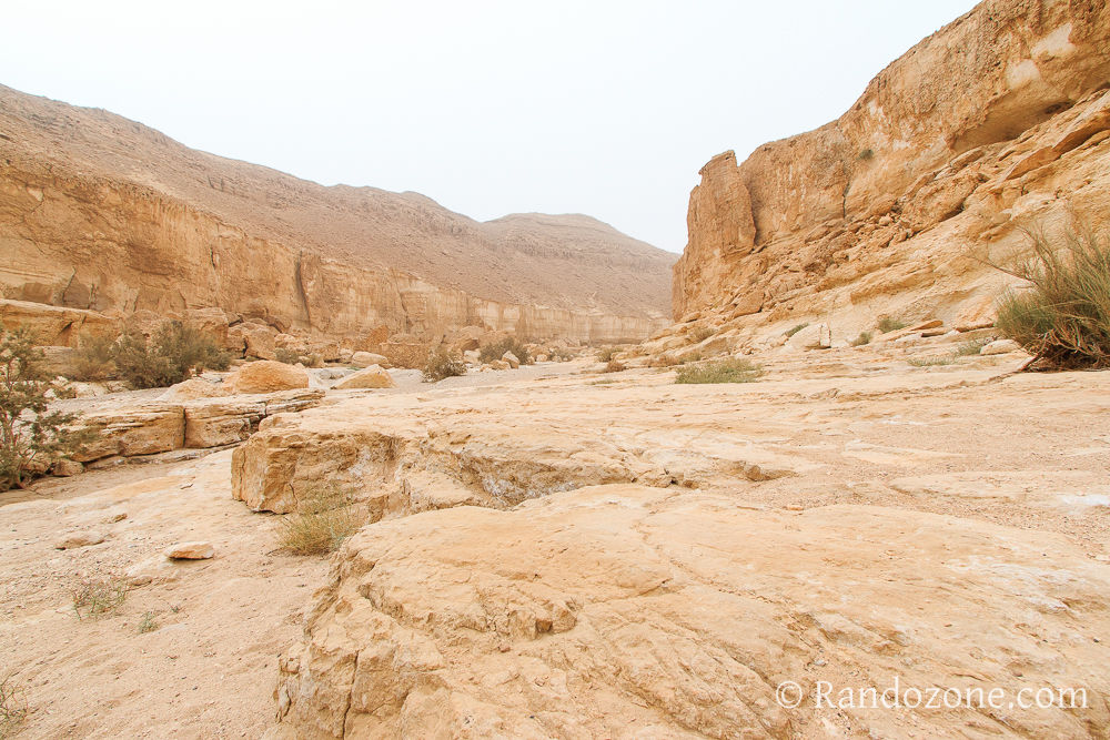 Randonnée dans le désert de Néguev