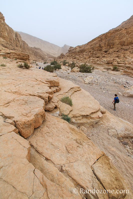 Randonnée dans le désert de Néguev