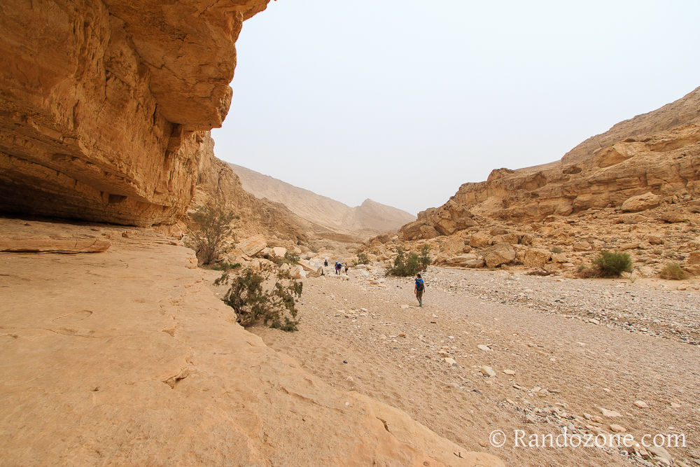 Randonnée dans le désert de Néguev