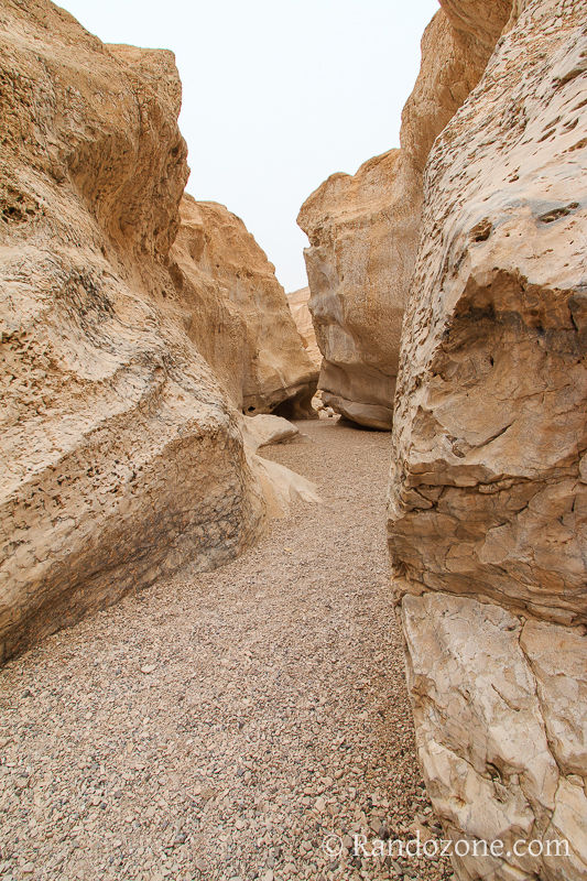 Randonnée dans le désert de Néguev