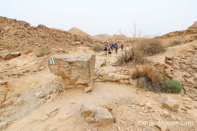 Randonnée dans le désert de Néguev