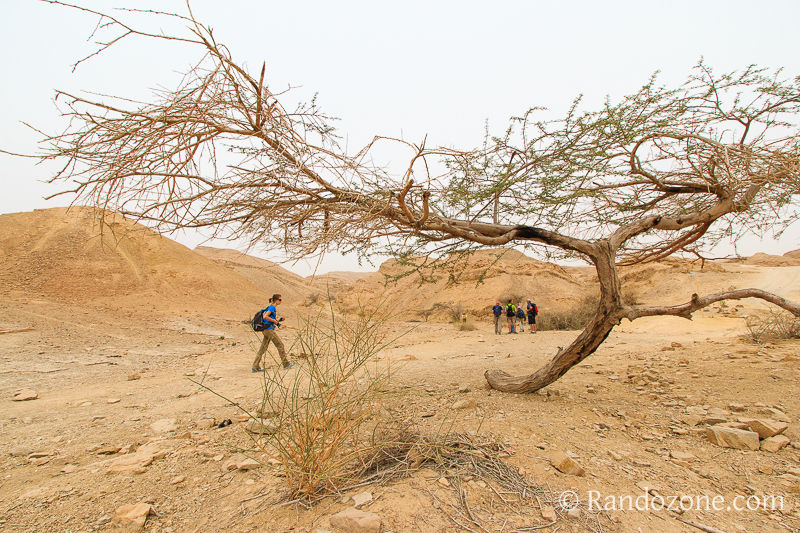 Randonnée dans le désert de Néguev