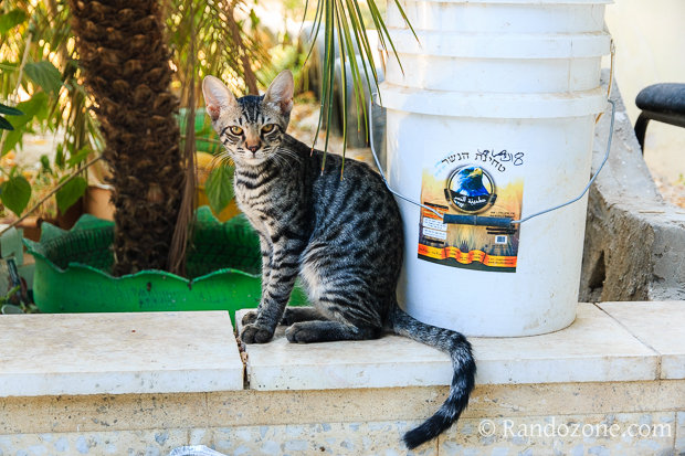 Auja Eco-Center à Jéricho