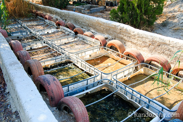 Auja Eco-Center à Jéricho