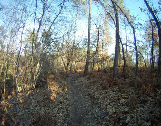 VTT à Saint Médard en Jalles VTT à Saint Médard en Jalles