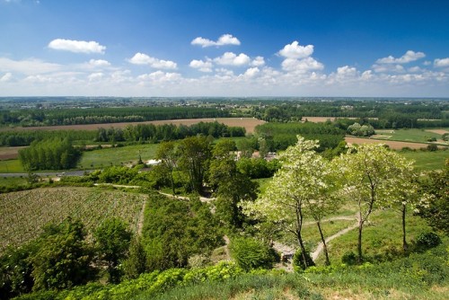 Randonnée dans les vignes en Gironde Randonnée dans les vignes en Gironde