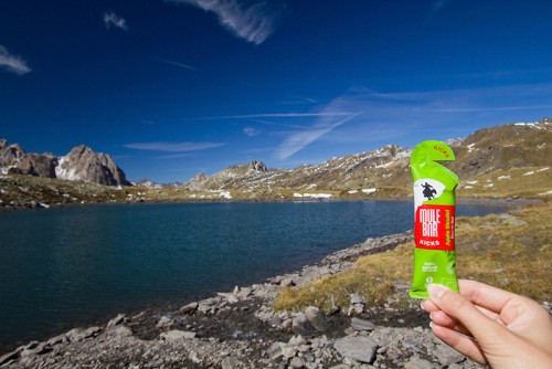 Test du Gel Mulebar Apple Struddle Test du Gel Mulebar Apple Struddle