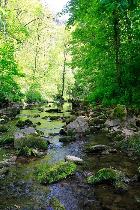 Randonnée dans le trou de Bozouls 12 Randonnée dans le trou de Bozouls 12
