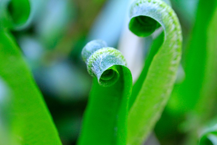 Randonnée dans le trou de Bozouls 14 Randonnée dans le trou de Bozouls 14