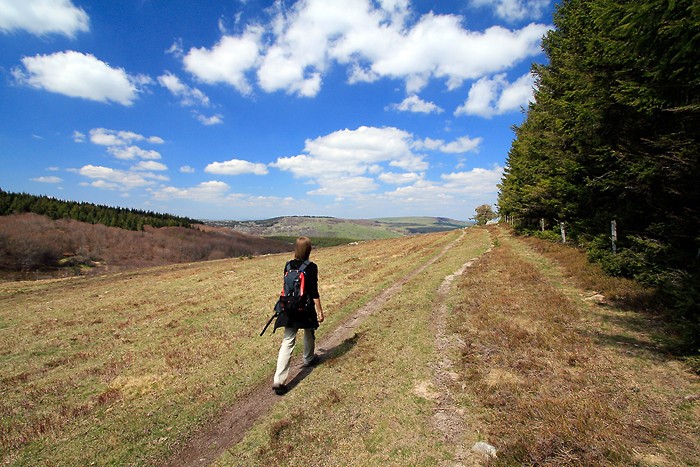 Randonnée en Lozère : Le sentier continue le long de la forêt Le sentier continue le long de la forêt