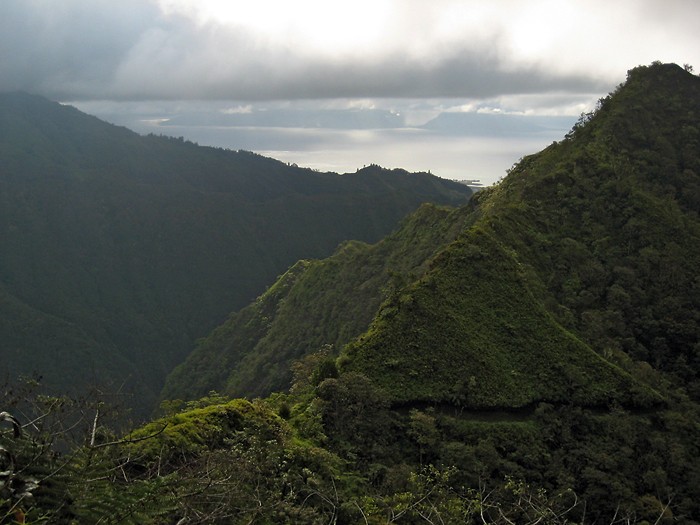 Randonnée au Mont Aorai à Tahiti