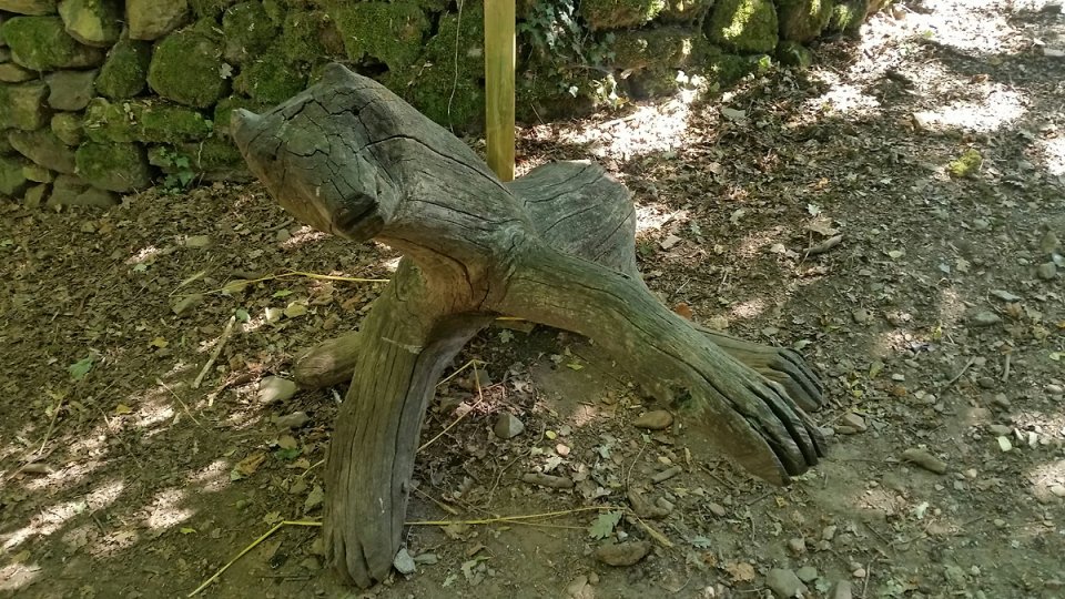 Nous croisons un ours au croisement de chemins Nous croisons un ours au croisement de chemins
