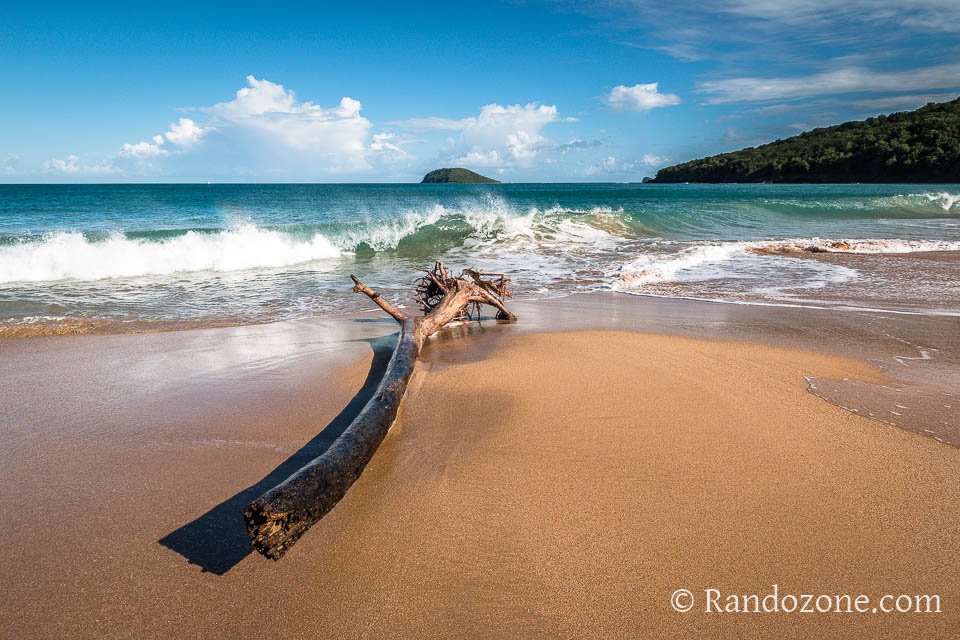 Balade sur la plage en Guadeloupe Balade sur la plage en Guadeloupe