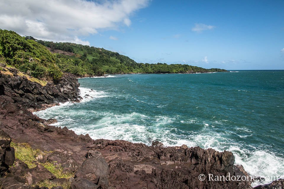 Le sentier de l'Acomat long la mer Le sentier de l'Acomat long la mer