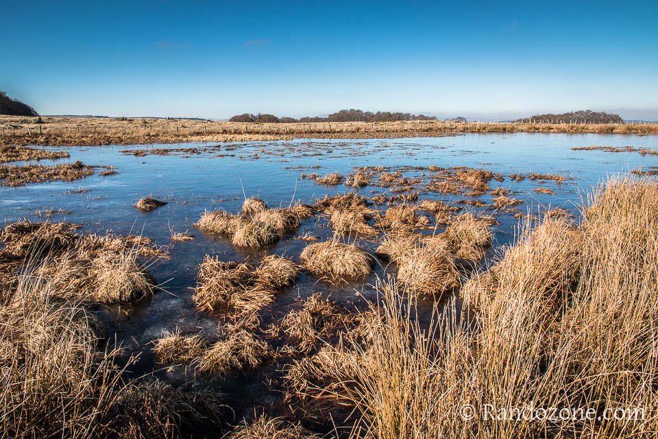 Tourbière sur le plateau Tourbière sur le plateau