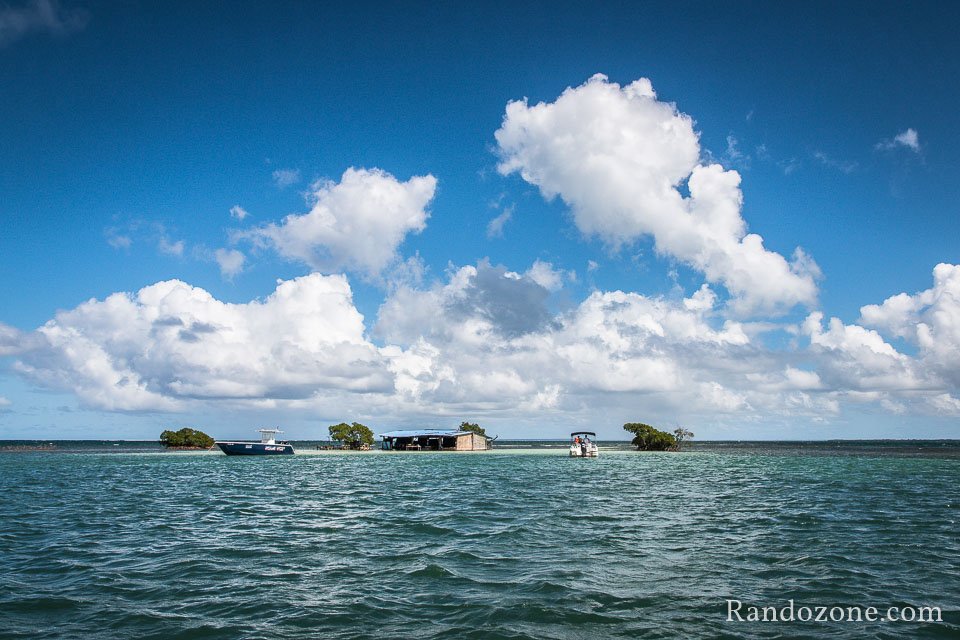Sortie bateau avec Blue Lagoon Sortie bateau avec Blue Lagoon