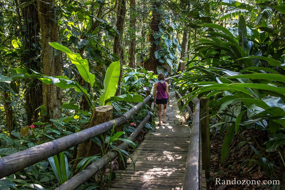Balade dans le parc zoologique de Guadeloupe Balade dans le parc zoologique de Guadeloupe