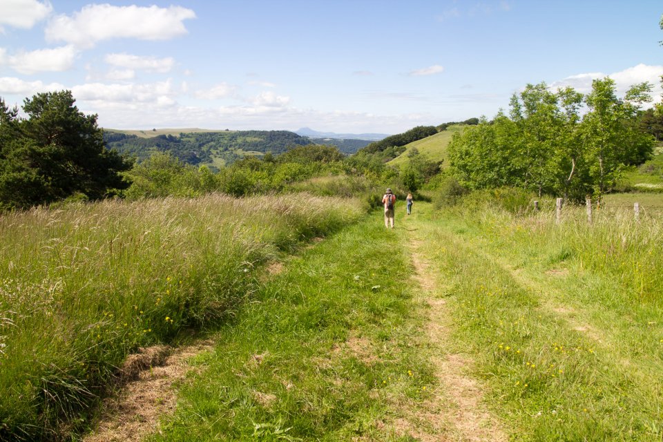 La vaste piste qui mène à la roche nité La vaste piste qui mène à la roche nité